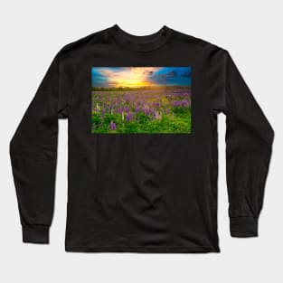 Lupins at Sunset Long Sleeve T-Shirt